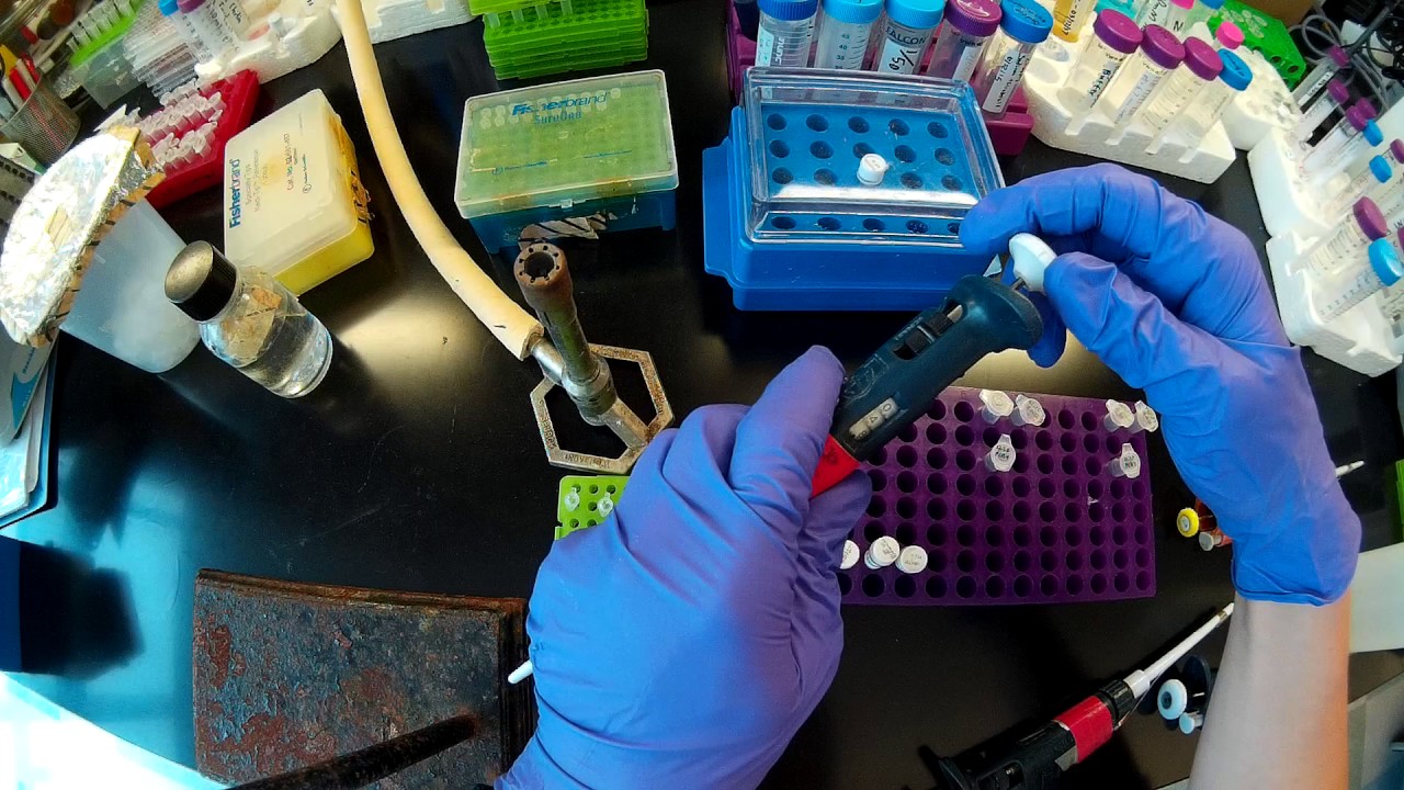 Setting up multiple PCR reactions from a mastermix