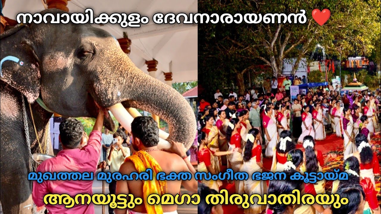 Murahari Bhaktha Sangeetha Bhajana Koottaima Mega Thiruvathira|Mukhathala Sreekrishna swami temple 