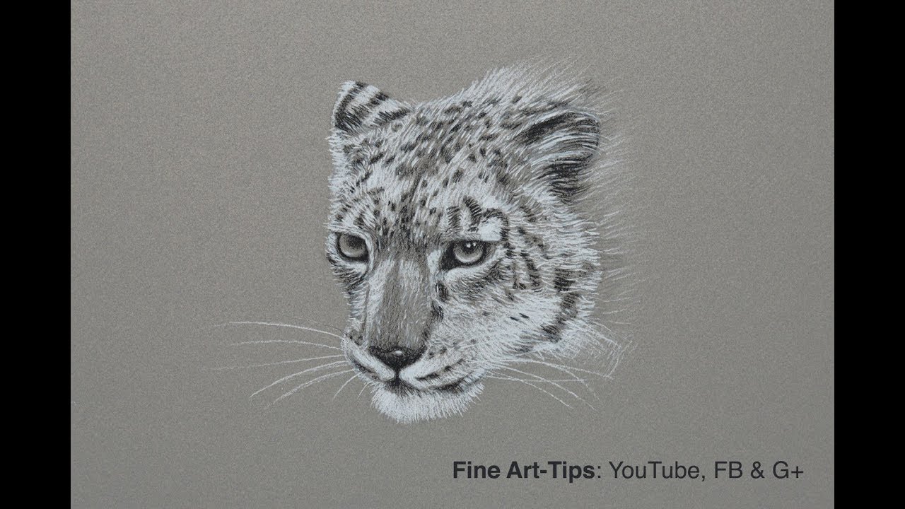How to Draw a Snow Leopard - Narrated
