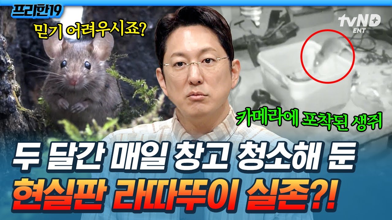 [#프리한19] 생쥐가 청소를 해줬다고❓ 보고도 믿기 힘든 청소능력 MAX 우렁 각시의 정체🐭