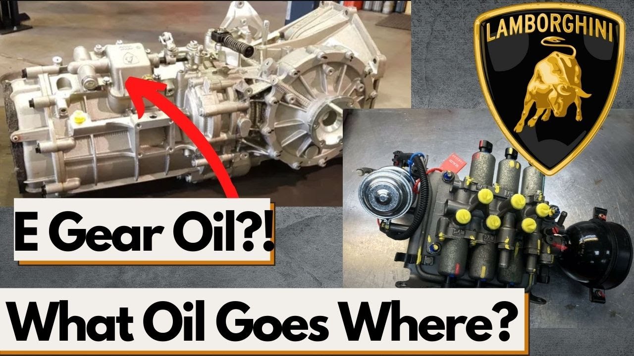 What Transmission Fluid Goes In Your Lamborghini Gallardo? E Gear & Rear Differential Oil Choices?
