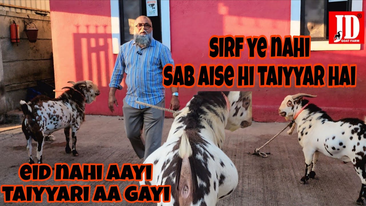 Taiyyari Aisi Eid Jaisi | JD Goat Farm