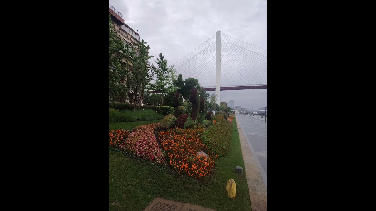 南浦大桥旁的浦东滨江遥看陆家嘴 