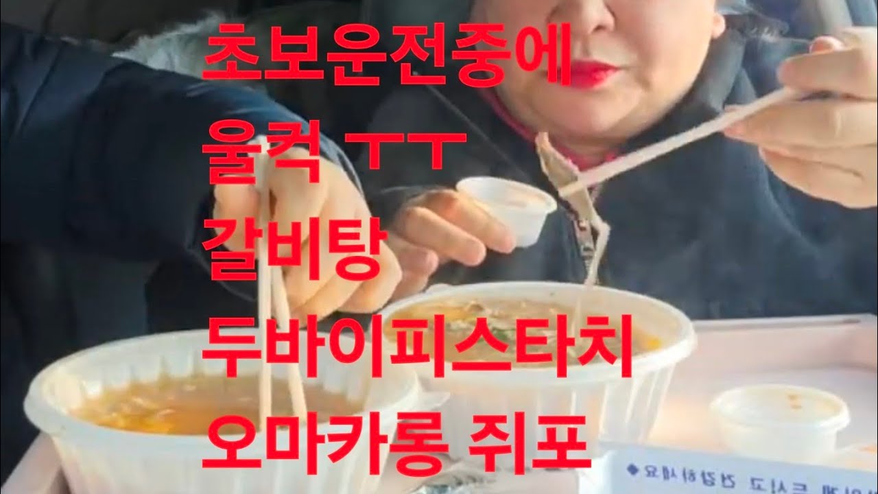 복부인  초보운전중에 울컥 ㅜㅜ 갈비탕 두바이피스타치오마카롱 쥐포 먹방 mukbang