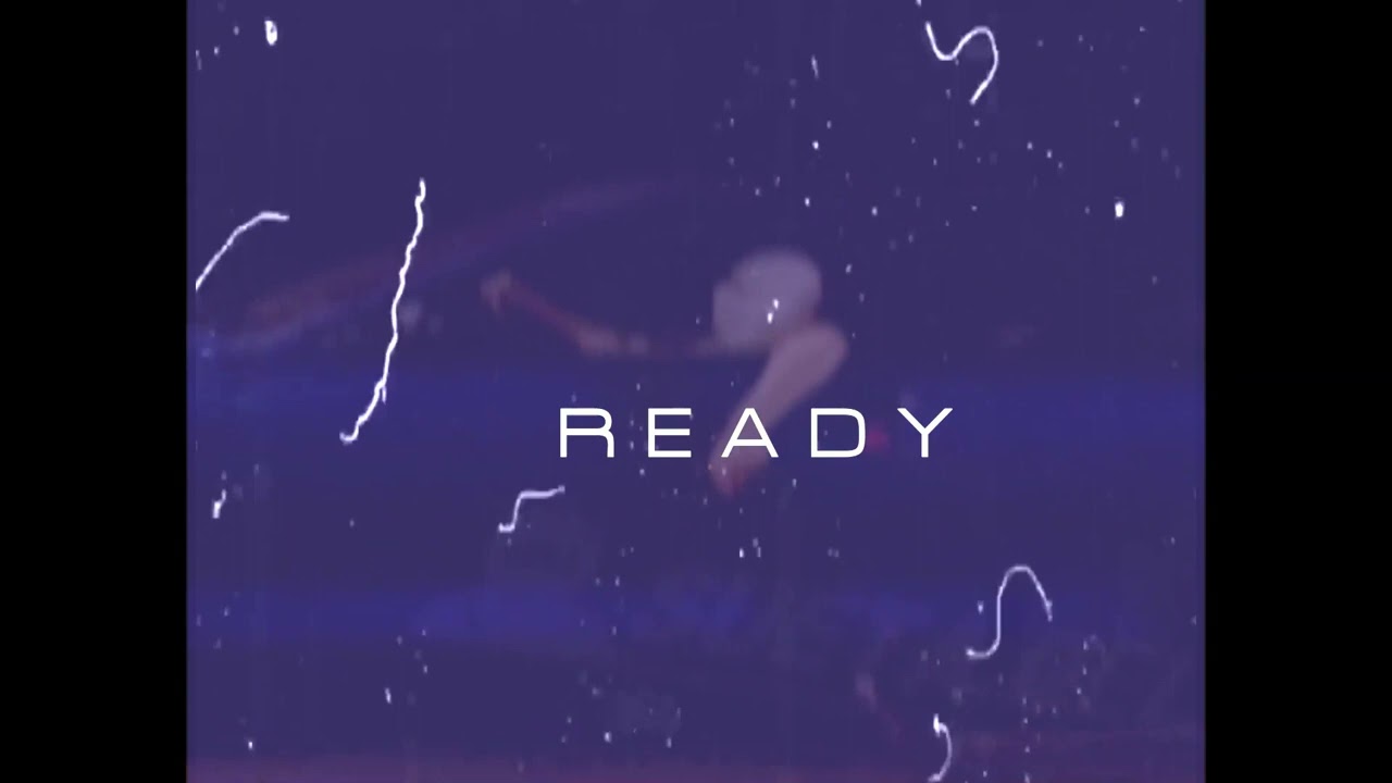 Penny Don - Ready (Visualizer)