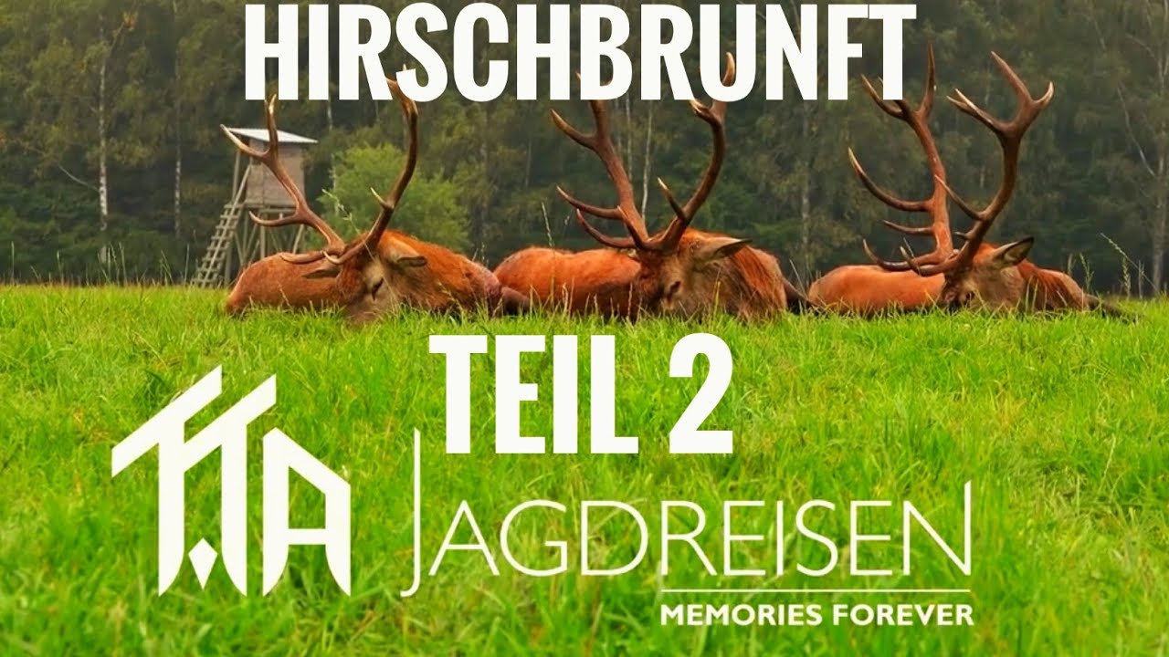 Der Kampf um den Rothirsch | Atemberaubende Brunftmomente | Teil 2 | TTA-Jagdreisen