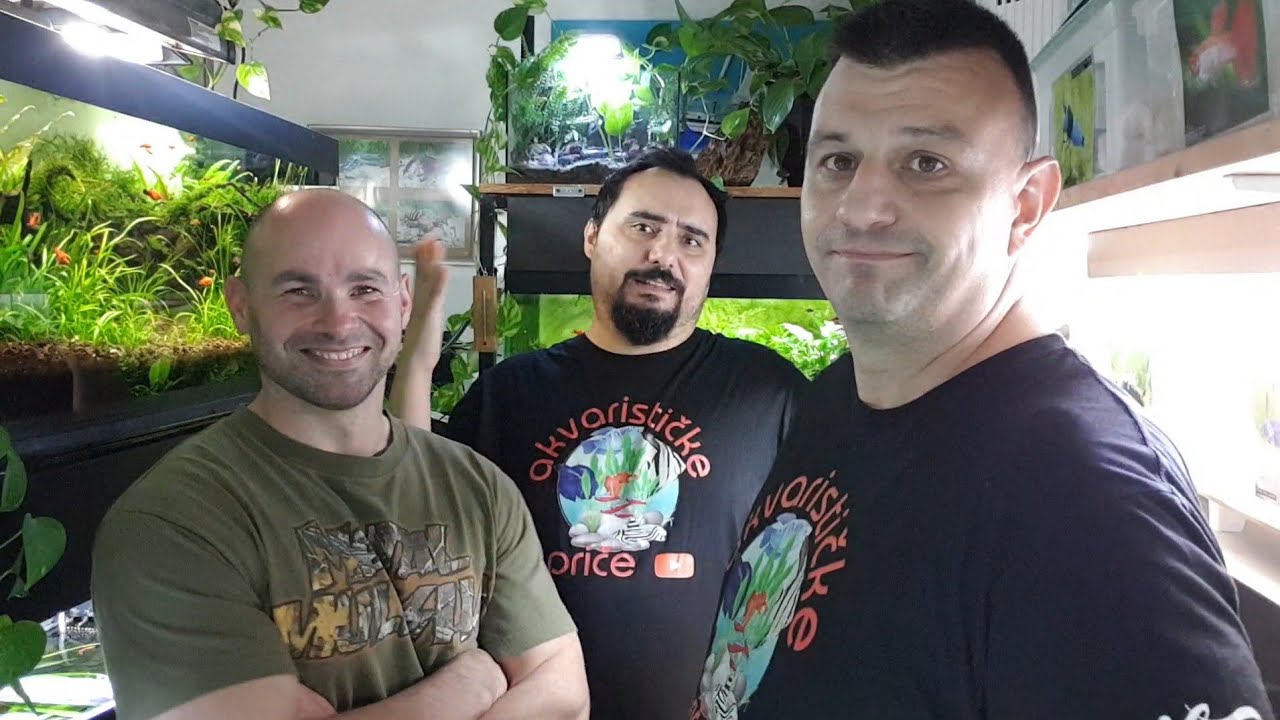 Akvarističke Priče sez.4 ep.4 