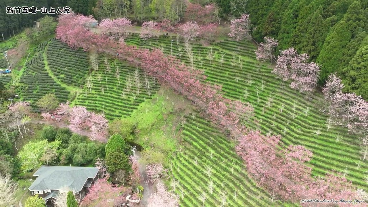 山上人家