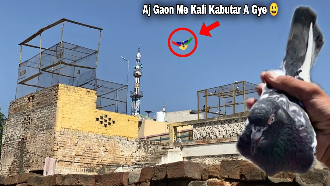 Rat Ko Chiri Mar Masjad 🗼Par Ponch Gya 😱 چڑی ماری رات کے وقت 😃