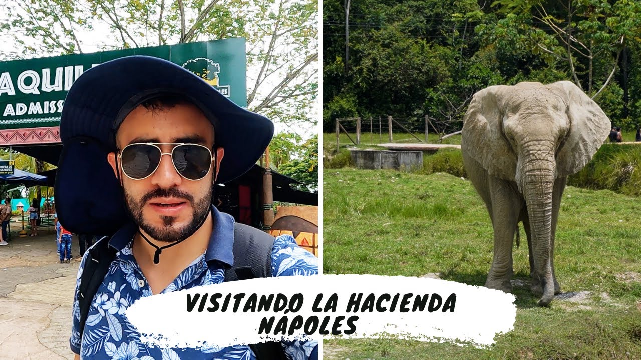 ¿Cómo es ir a la Hacienda Nápoles en el 2022?🦓🐘