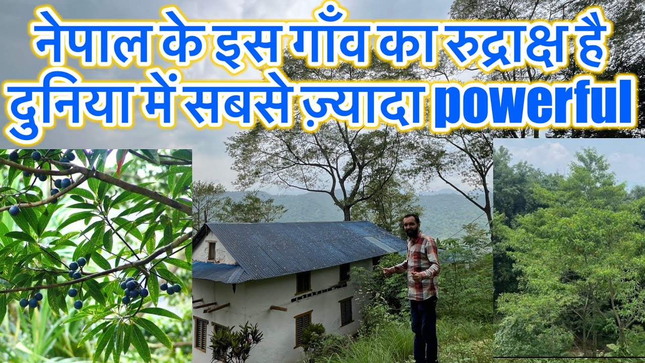 नेपाल के इस गाँव का रुद्राक्ष दुनिया में सबसे ज़्यादा powerful है#travelingdeewane #rudraksh
