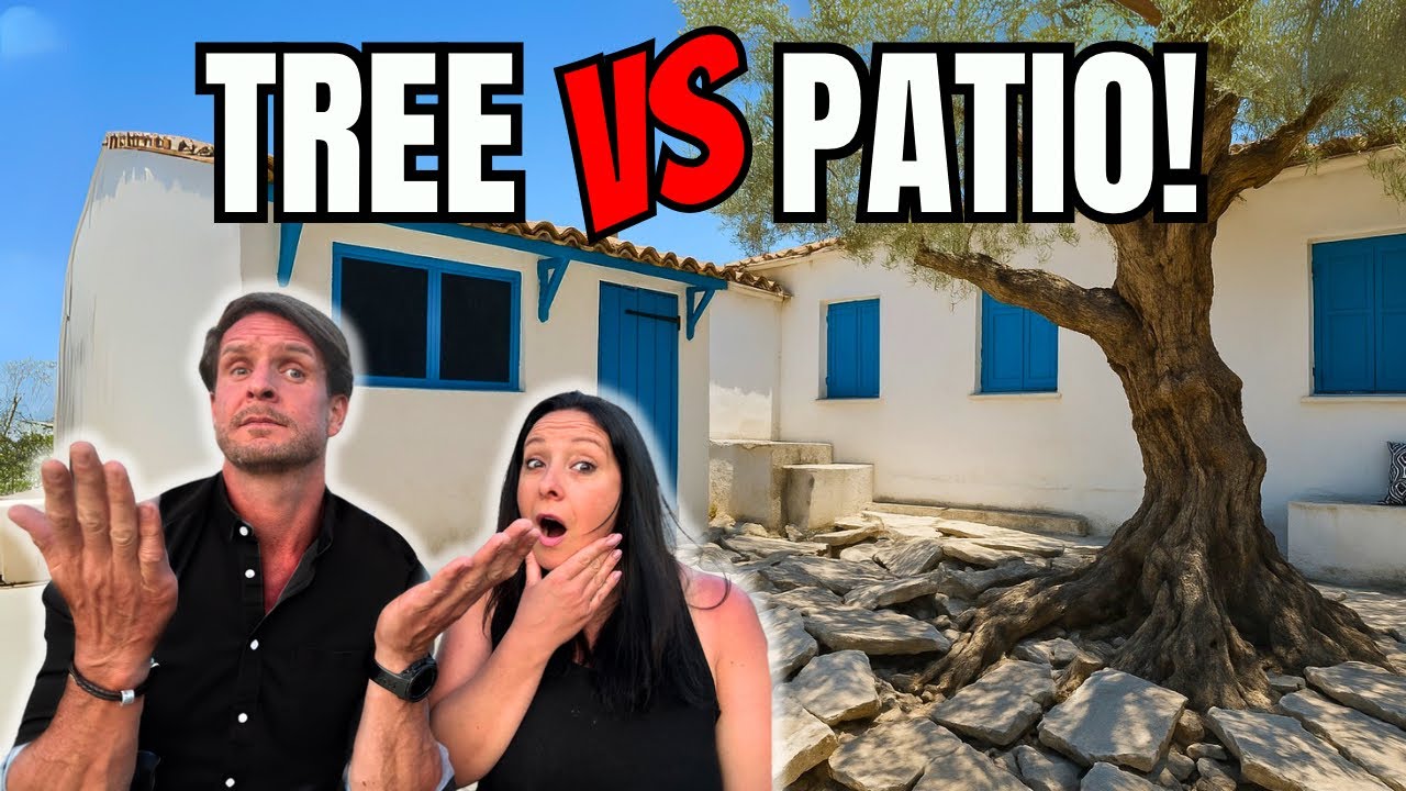 This 300 Year Old Olive Tree Wrecked Our Patio