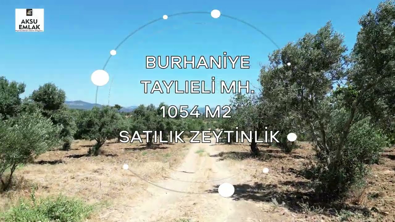 Burhaniye Taylıeli'nde Düz Zemin 10 Dönüm Satılık Zeytinlik