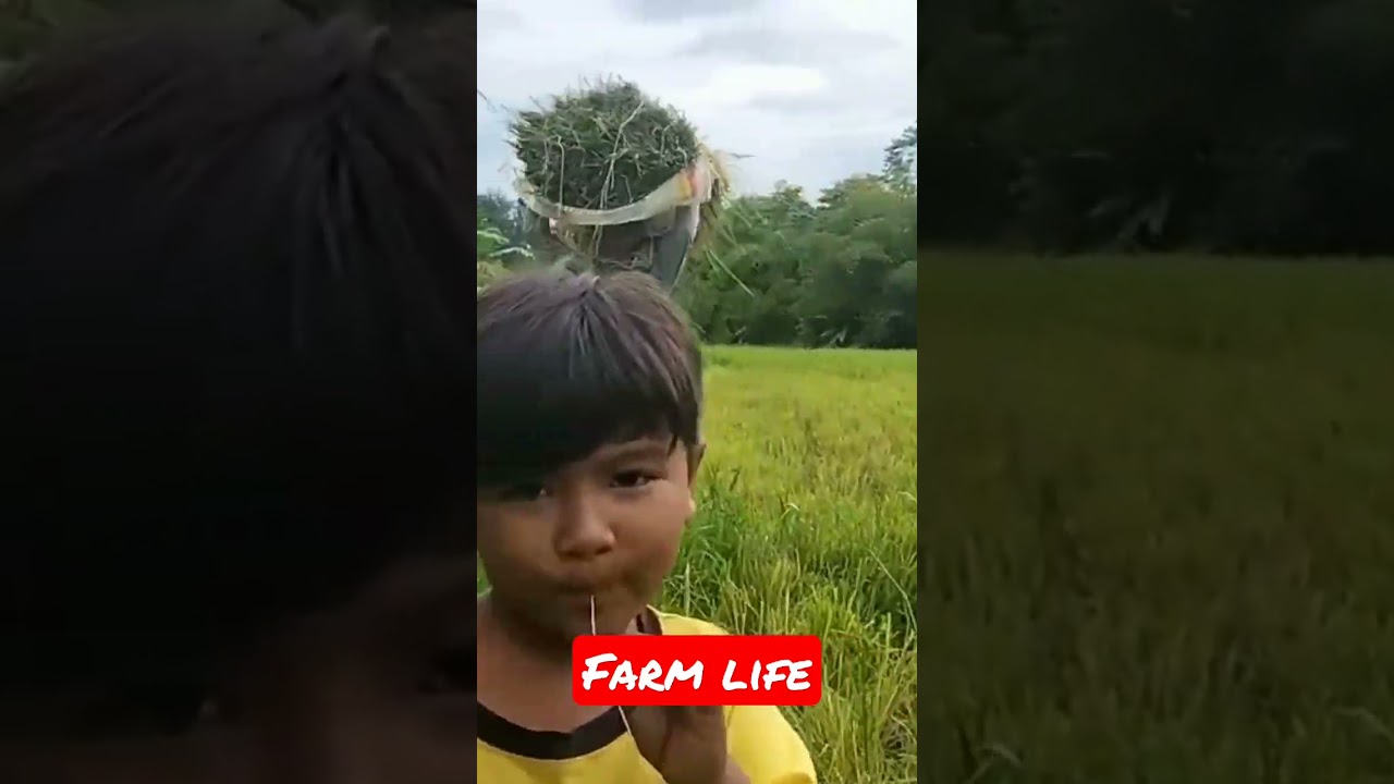The Farm Boy Buddy