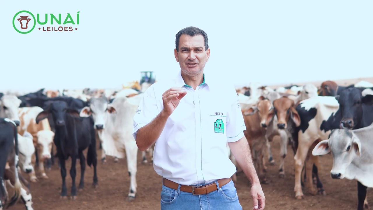 Convite: LEIL&Atilde;O CARGA FECHADA da Una&iacute; Leil&otilde;es 🇧🇷