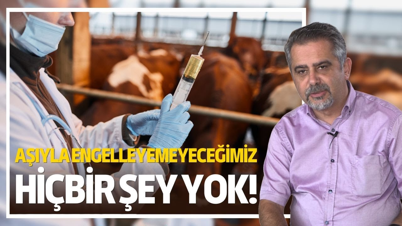 Hayvanlarda Topallık / Aşıyla Engelleyemeyeceğimiz Hiçbir Şey Yok!