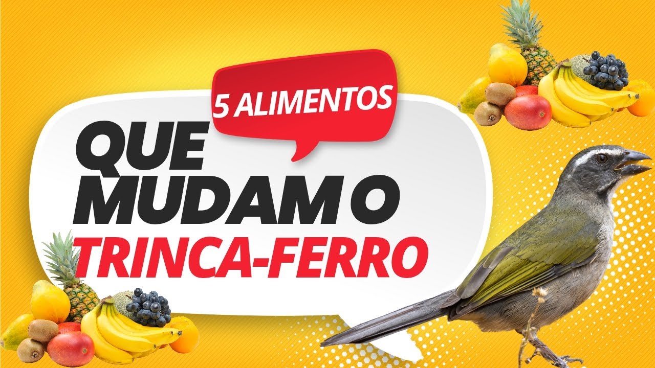 🚨 5 ALIMENTOS QUE MUDAM O SEU TRINCA-FERRO‼️