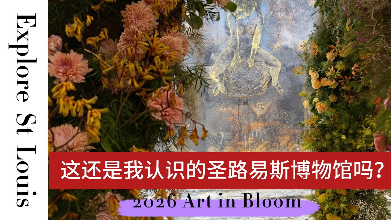 2026 圣路易斯：这还是我认识的艺术博物馆吗？名画和雕塑竟然“活”了--Art in Bloom 20周年记录