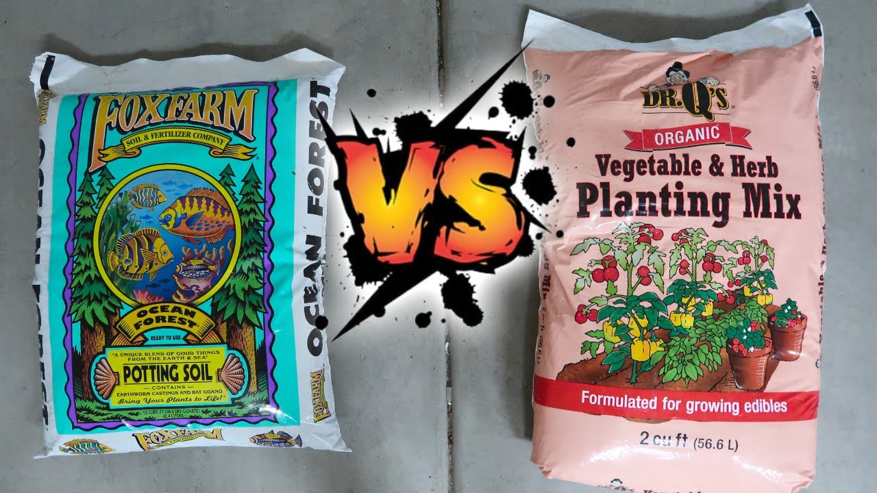 FoxFarm Ocean Forest vs Dr. Q’s Soil Mix: Which is Best for Plant Growth?