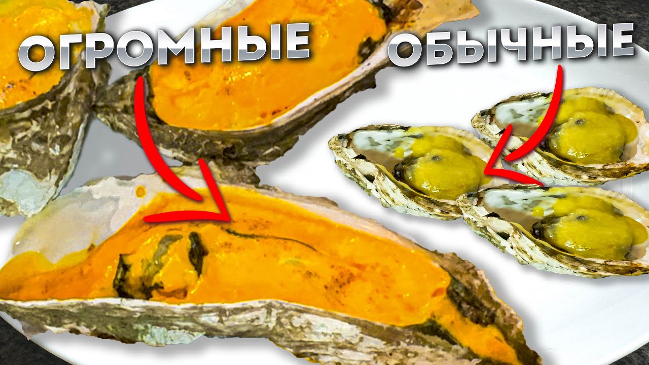 Огромные устрицы на гриле в секретном месте Нячанга | Студенческие устрицы в Нячанге