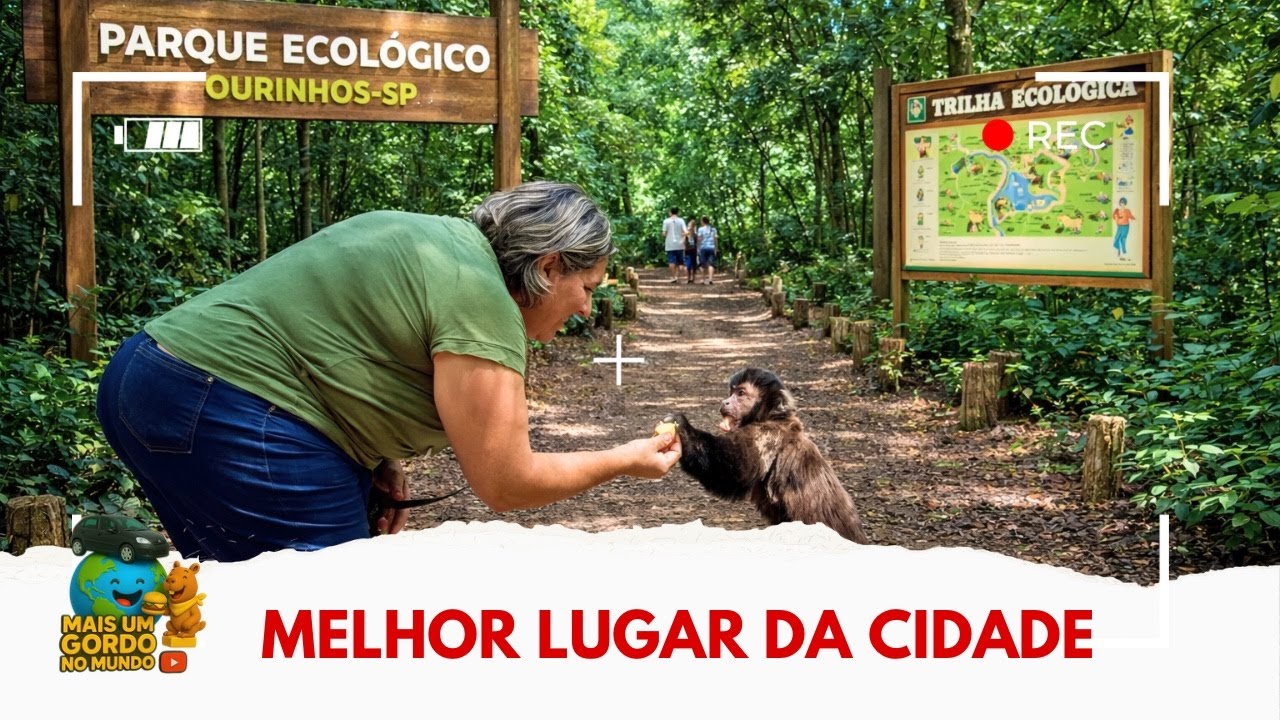OURINHOS-SP: VISITA AOS MACACOS DO PARQUE ECOLÓGICO MUNICIPAL