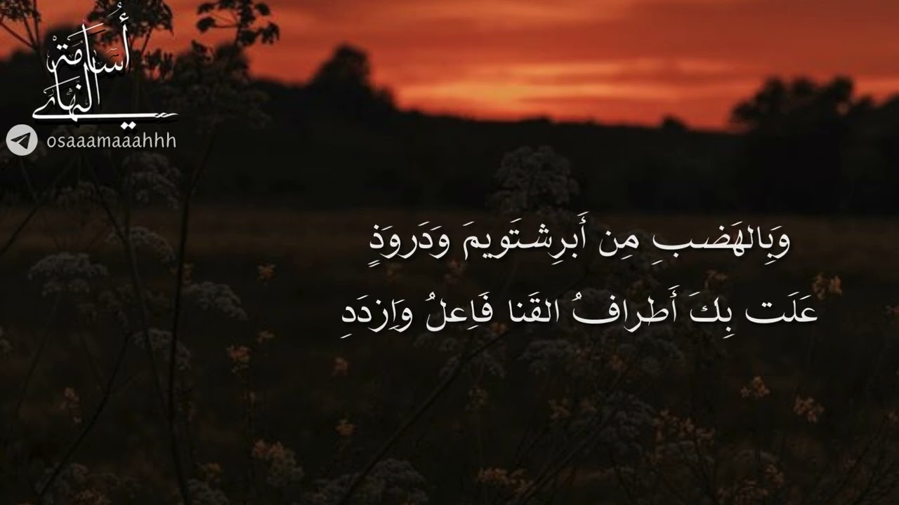 سرت تستجير الدمع خوف نوى غدِ | أبو تمام  | إلقاء: أسامة النهاري