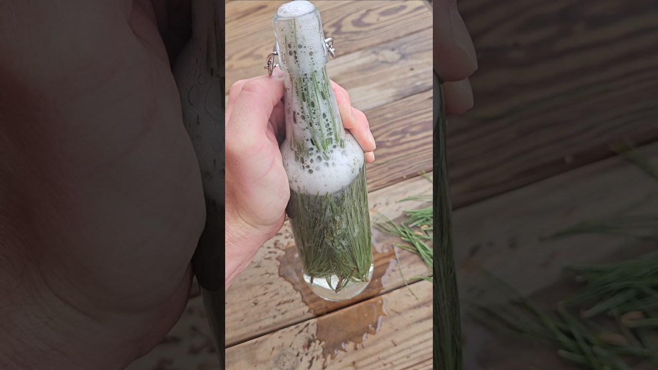 Update on the pine pop