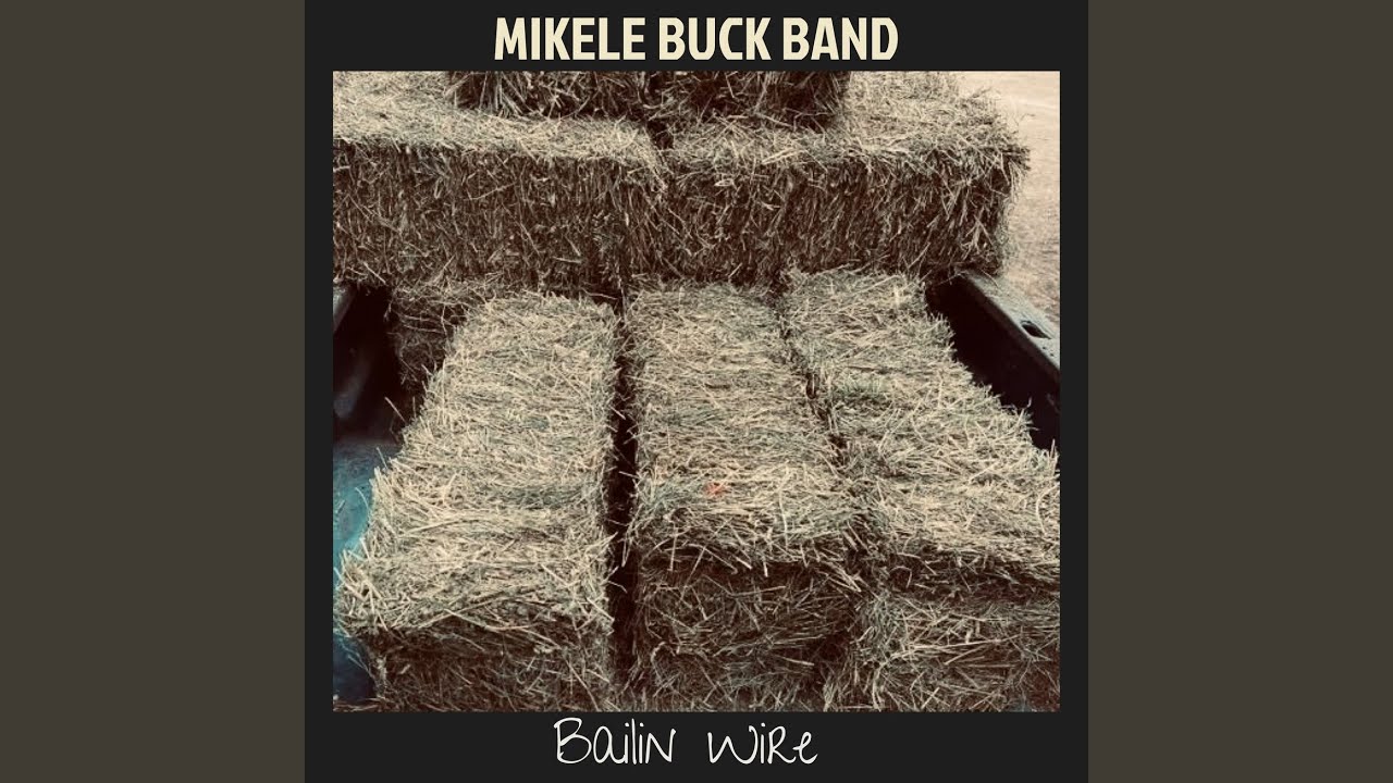 Bailin Wire