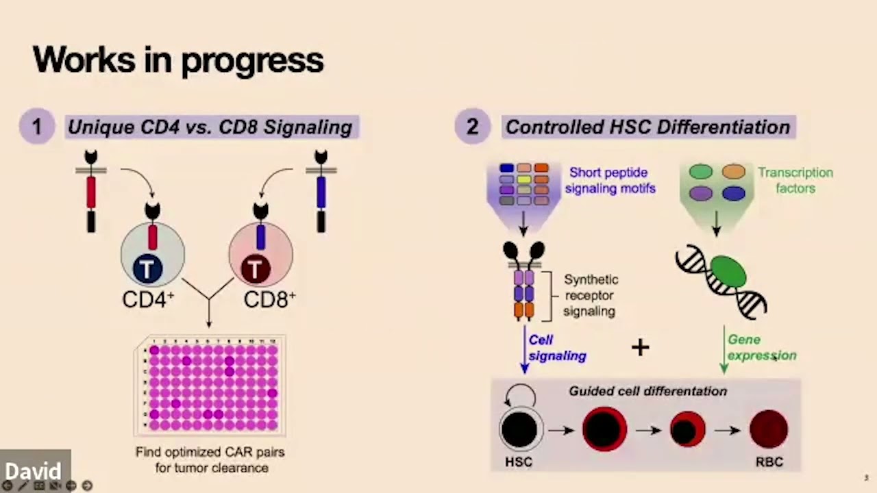 Engineering receptors to control cell behaviors