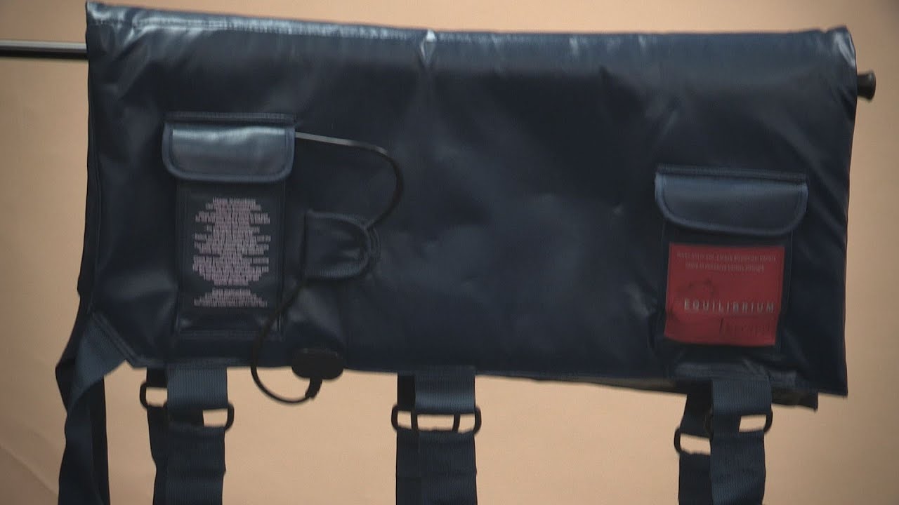 Equilibrium Massage Pad Review