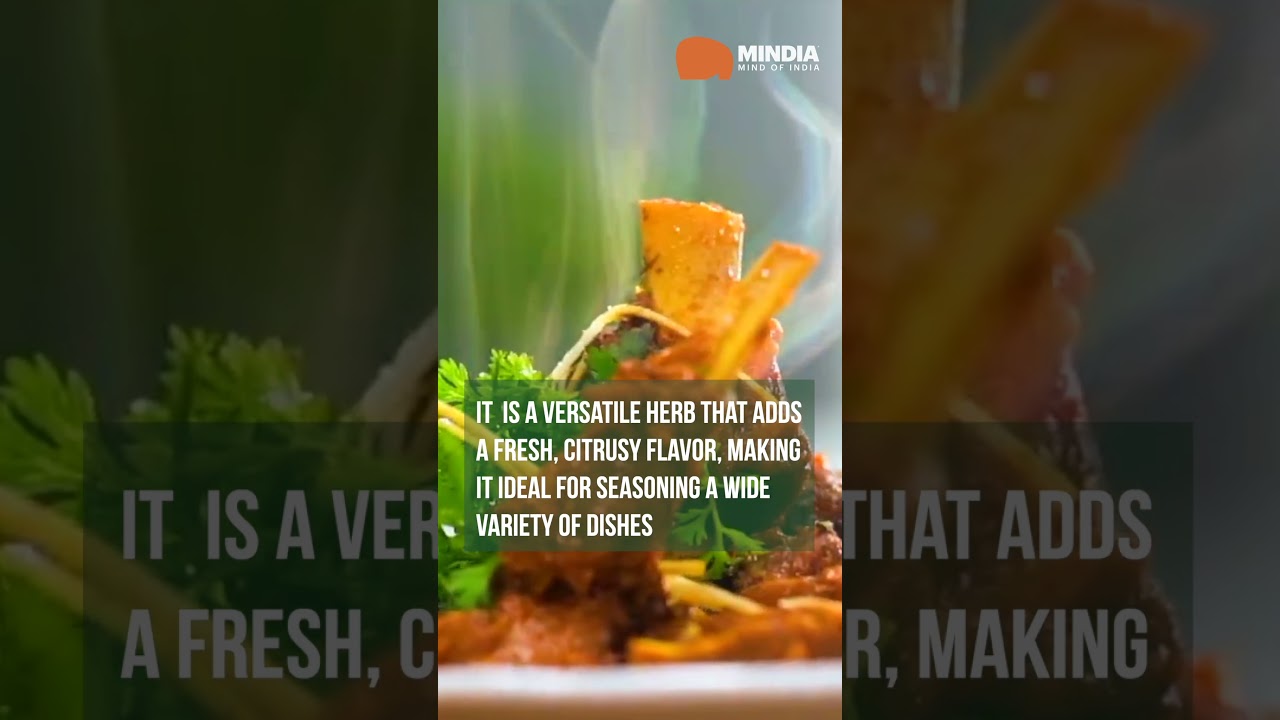 Coriander Should Be Our National Herb | MINDIA Shorts #documentary