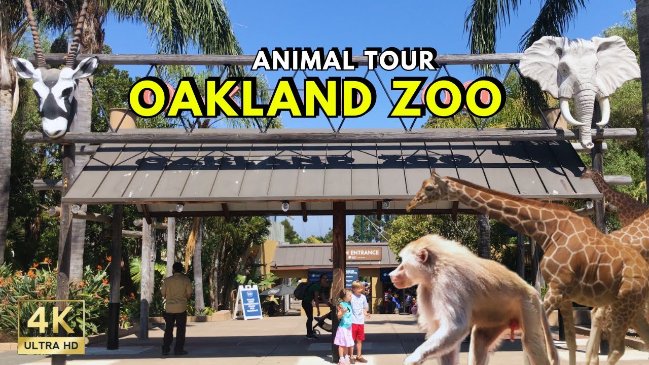 Exploring Oakland Zoo Animals Tour
