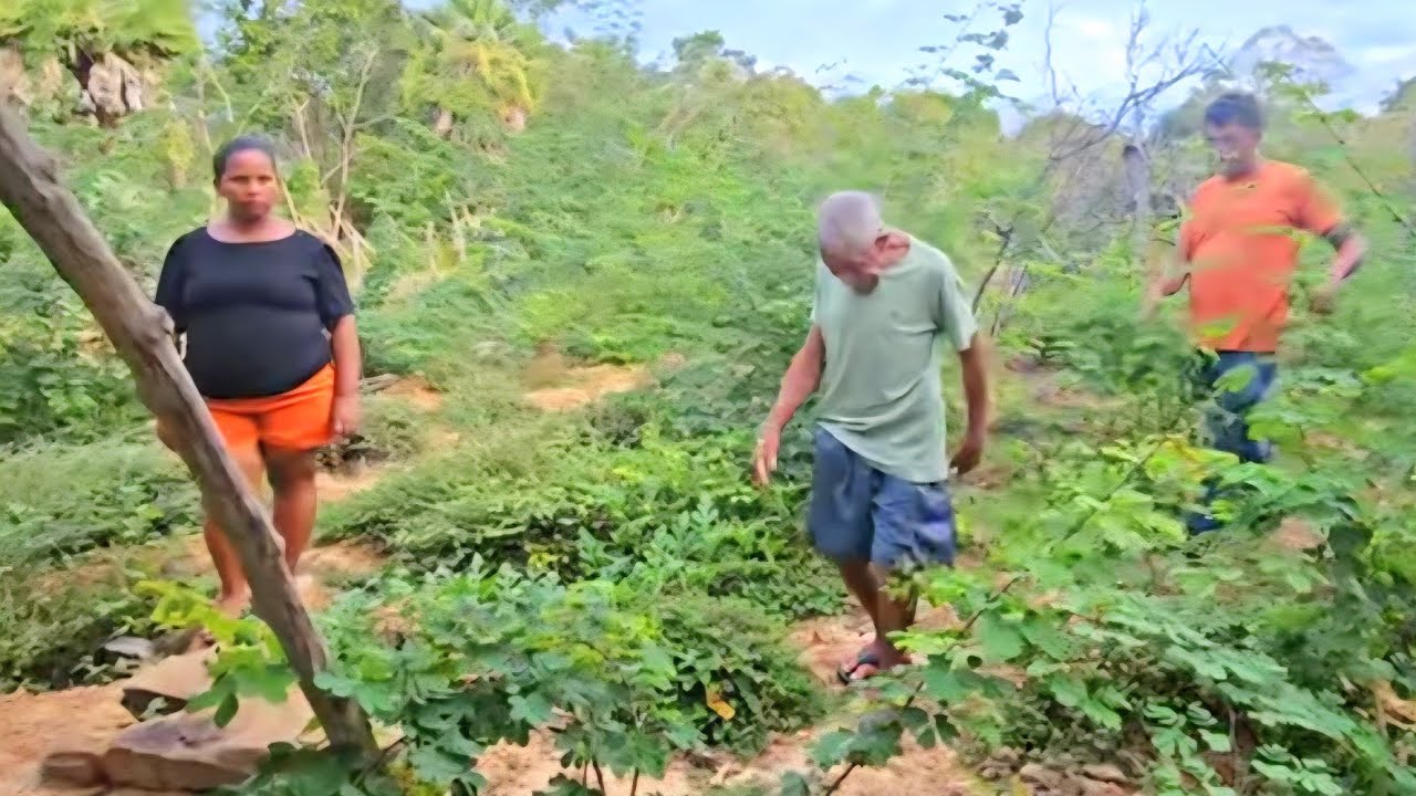 UMA  VISITA AO SEU PATONHO  ELE FOI MOSTRA A SUA ROÇA E VEJA O TANTO DE MELANCIA