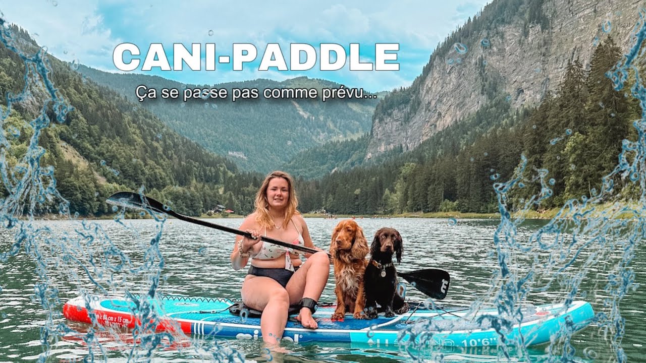 CANI-PADDLE / une sortie à 1300€ 😬