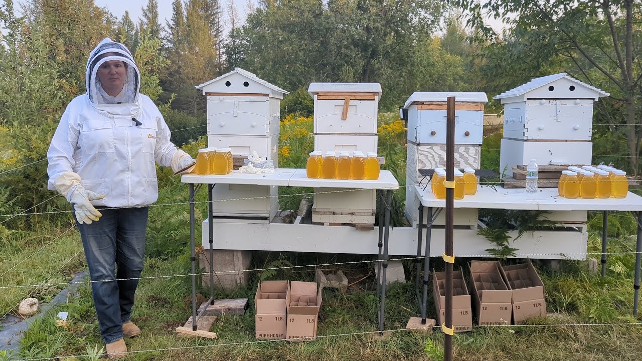 2023 Honey Harvest Carniolan Vs. Italian Honey Production results with AutoFrames