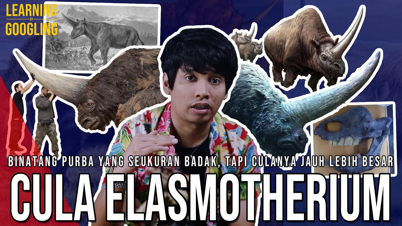 Tanduk Besar Unicorn Dunia Nyata! Pernah Hidup Dengan Manusia? Elasmotherium | Learning By Googling