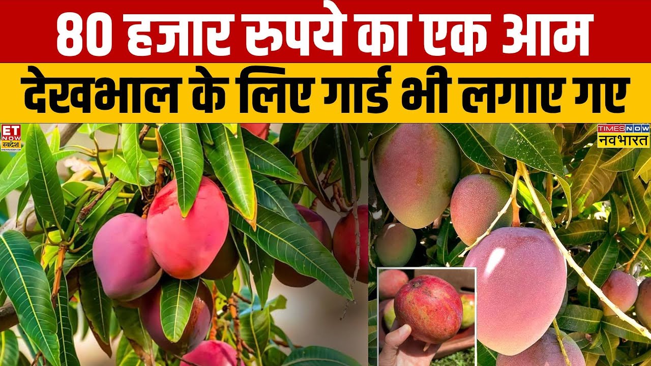 Varanasi में एक आम की कीमत 80 हजार रुपये...ये जानकर आप भी हो जाएंगे हैरान! | UP News