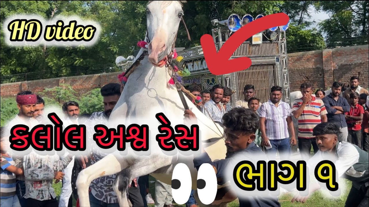 📍kalol ashv🐎 ramat Ghodi no chotalo,action no full video (Bhag -1)