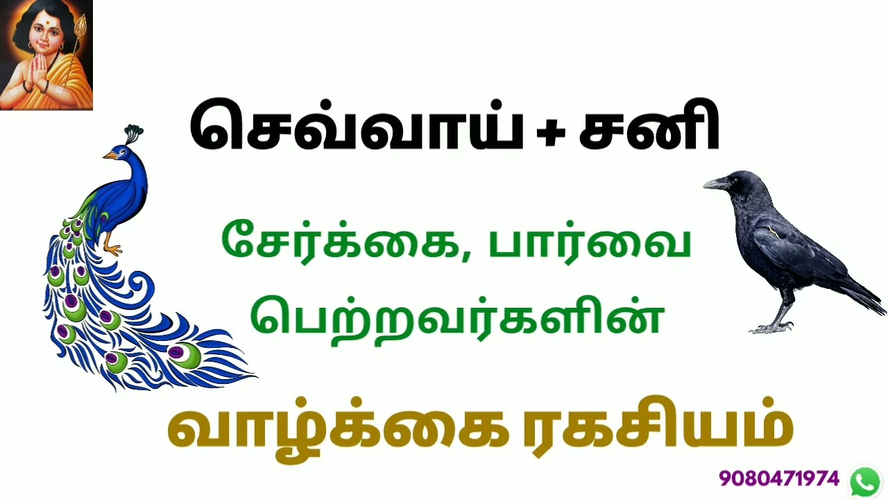 சனி செவ்வாய் சேர்க்கை நற்பலன்கள் பெற
