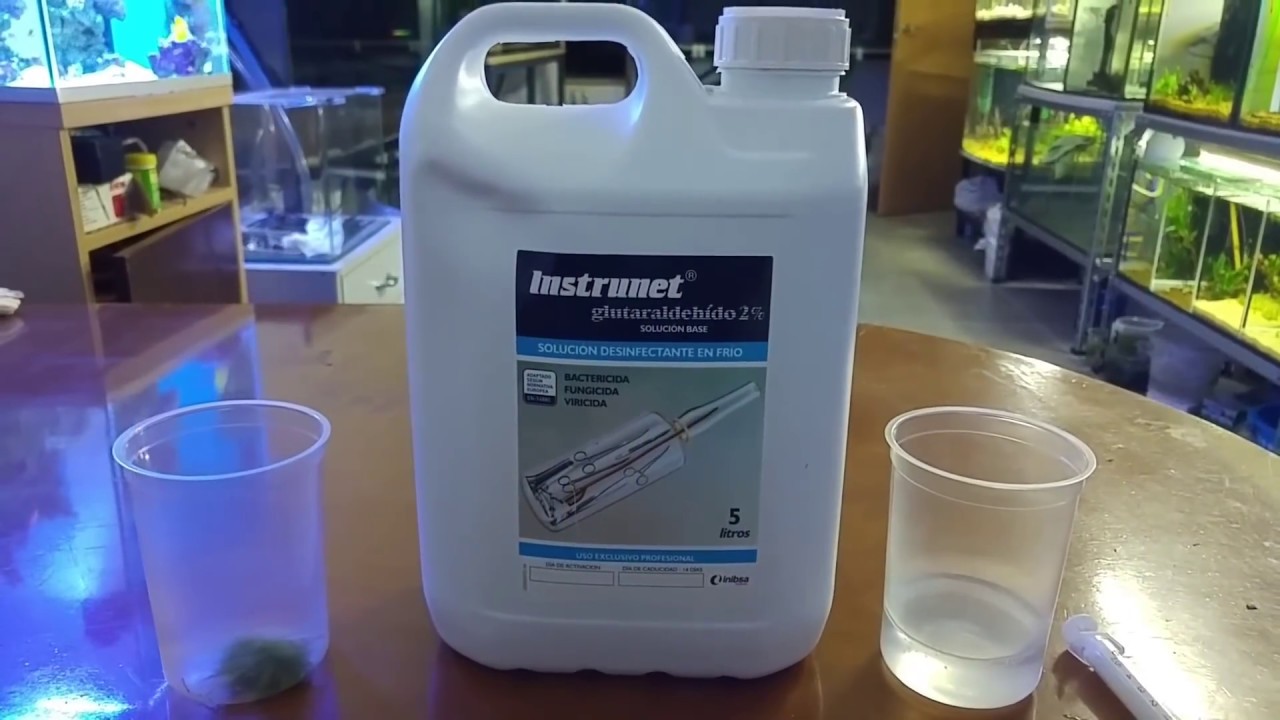 Glutaraldehido abono/antialgas
