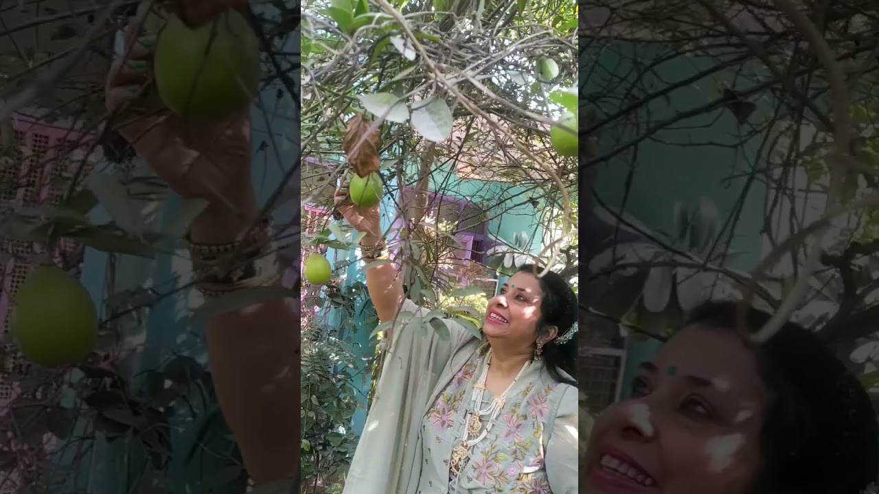 Dekha machalke jidhar, bijli giradi udhar 😂