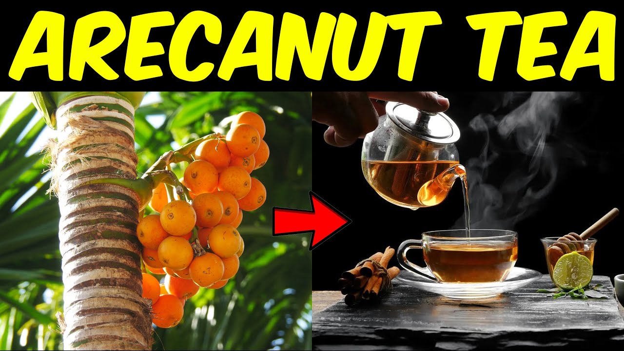 Areca Tea | Making tea from Arecanut | Nivedan Nempe