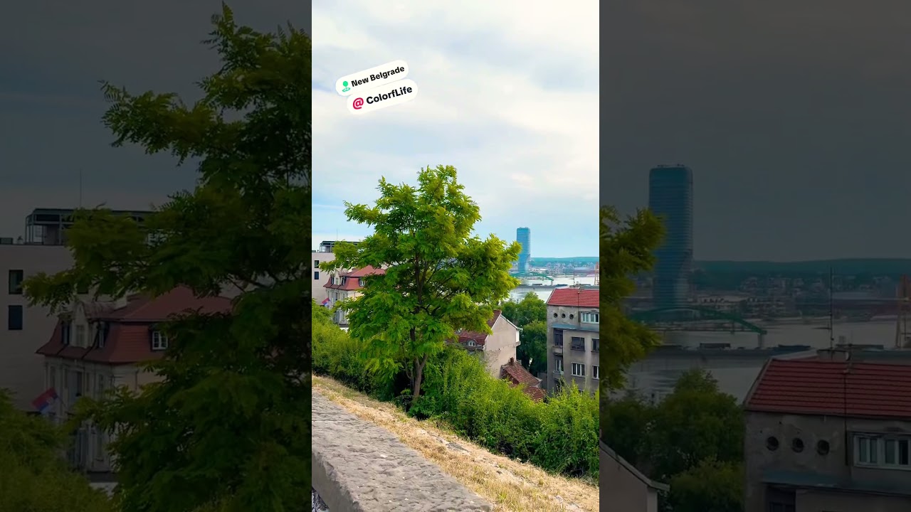 Explore more