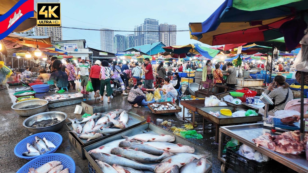 This Is Real Market Life in CAMBODIA 🇰🇭 | Fresh Fish Every Morning