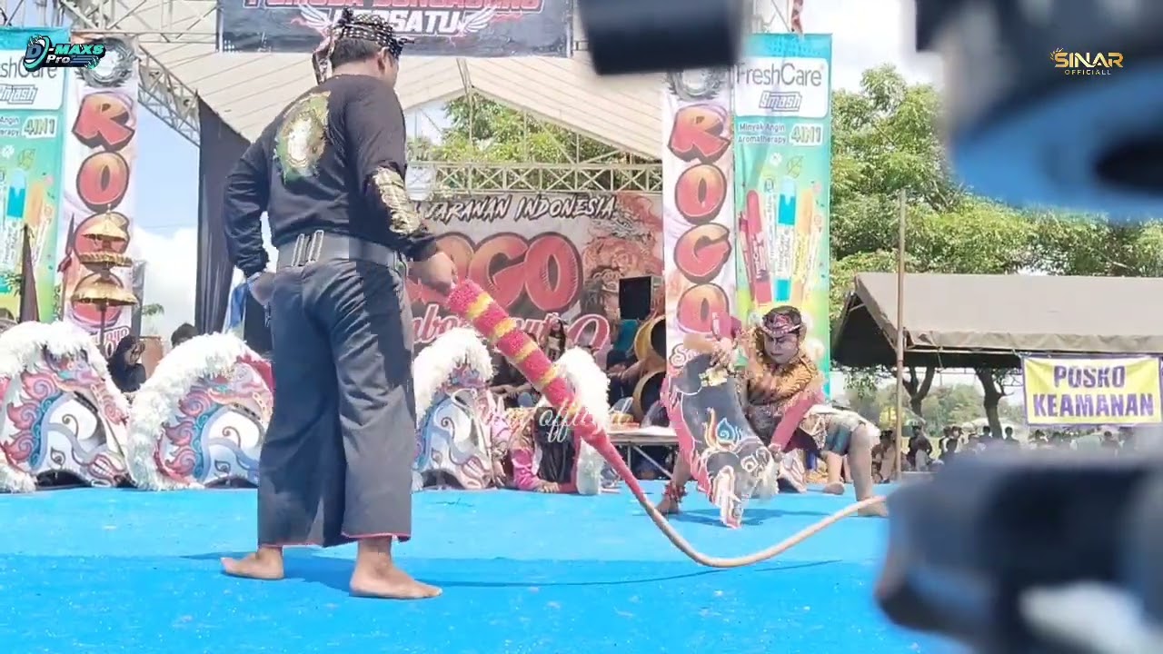FULL TERBARU❗sesi perang celeng ROGO SAMBOYO PUTRO live lap sonoageng 