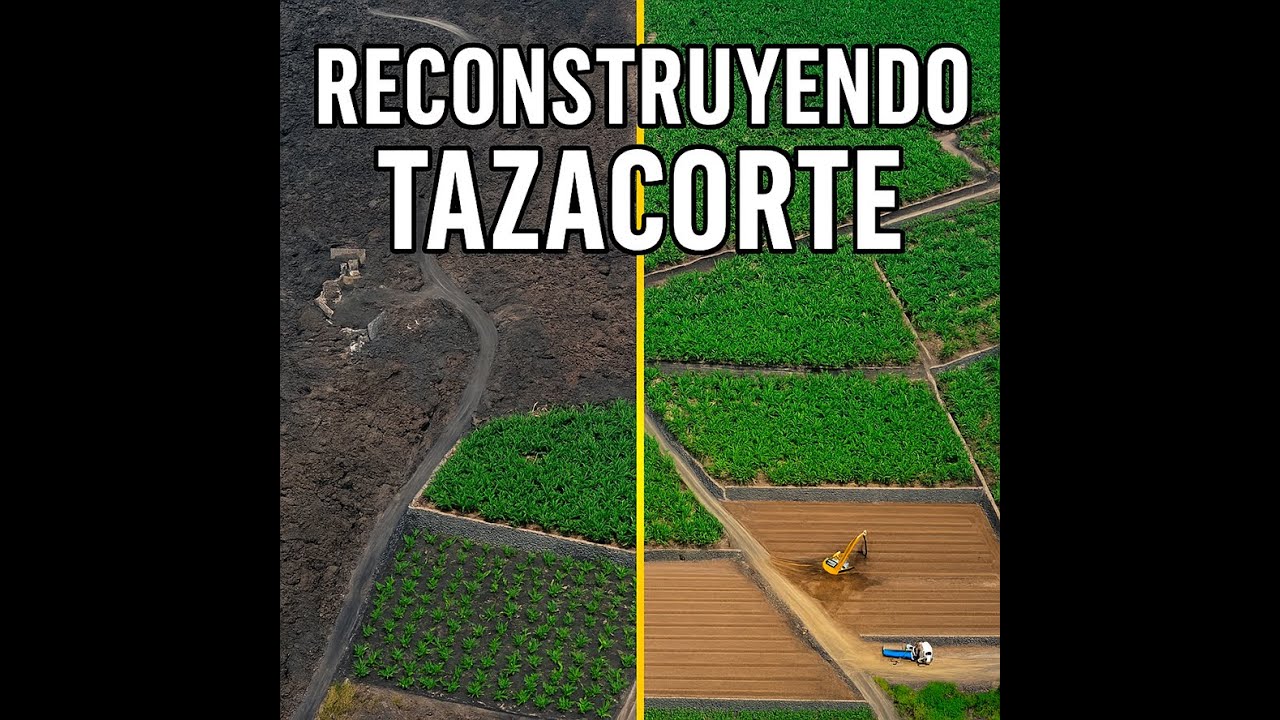 "La Palma reconstruye: el verde vuelve a la costa de Tazacorte"