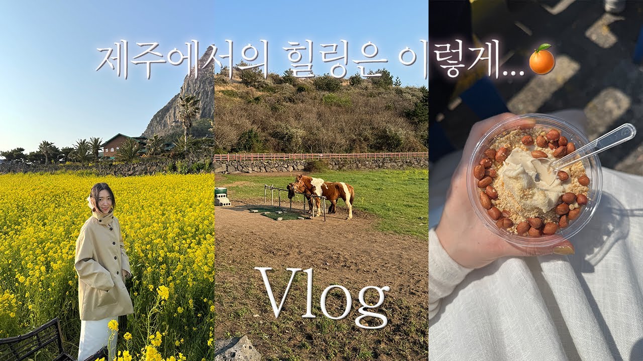 vlog. 제주도 2박3일 우도당일치기 여행🐴 동선&맛집 실패없던 가족여행 코스 추천. 유채꽃 포토스팟까지💡 너무 알차서 아쉬움이 없었던..Healing day…🌳💛