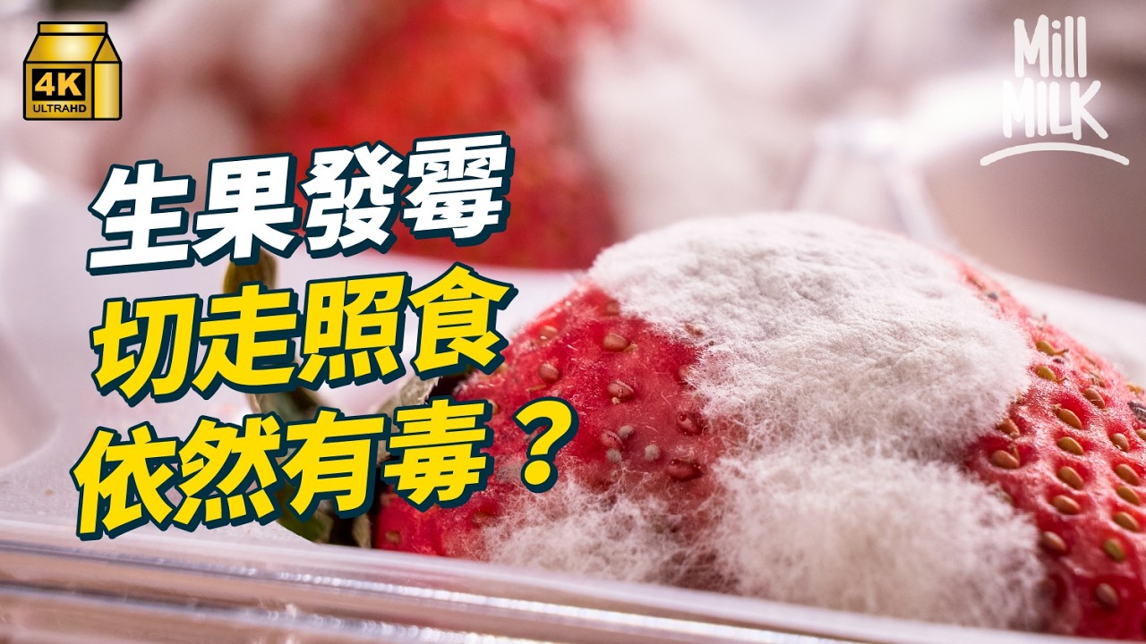 #MM｜生果發霉切走都可能有毒？直闖化驗室 測發霉生果剩餘部分有幾污糟！霉菌肉眼未必可見 變腍發黑或已中招｜#Weekly_pedia #4K
