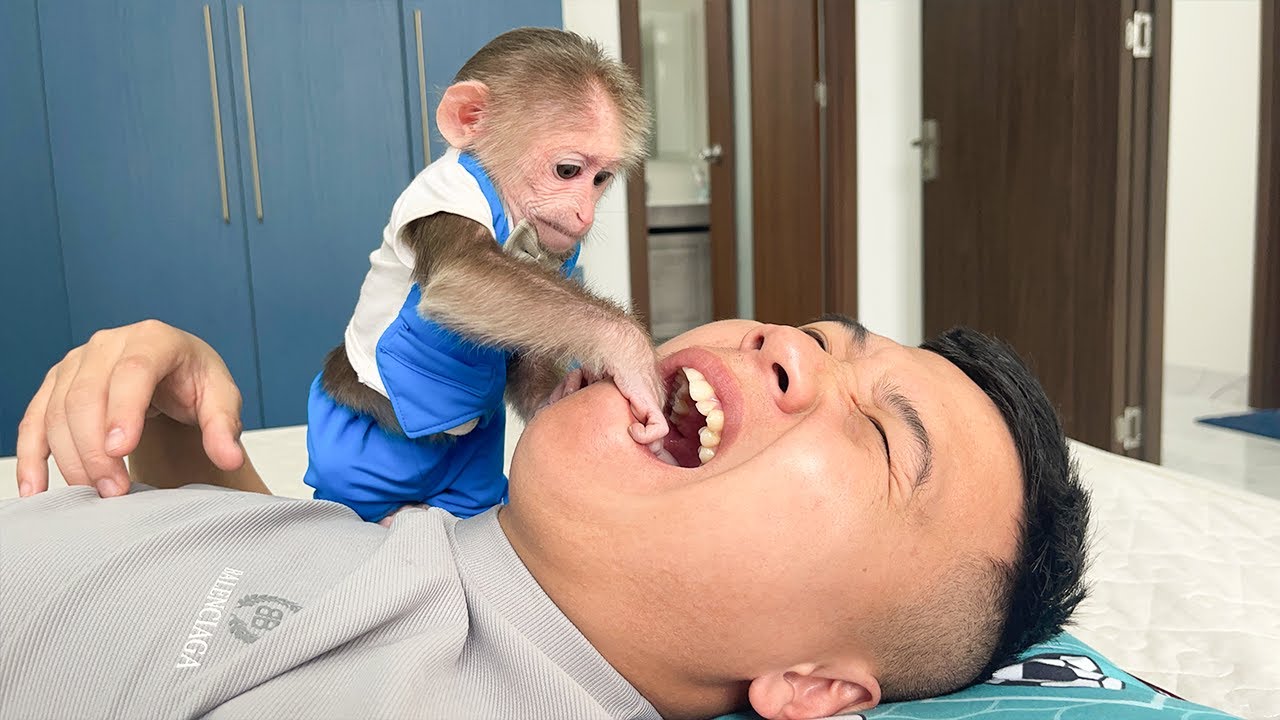 Постарайтесь не смеяться🤣 Непослушная обезьянка Кубис портит папе сон!