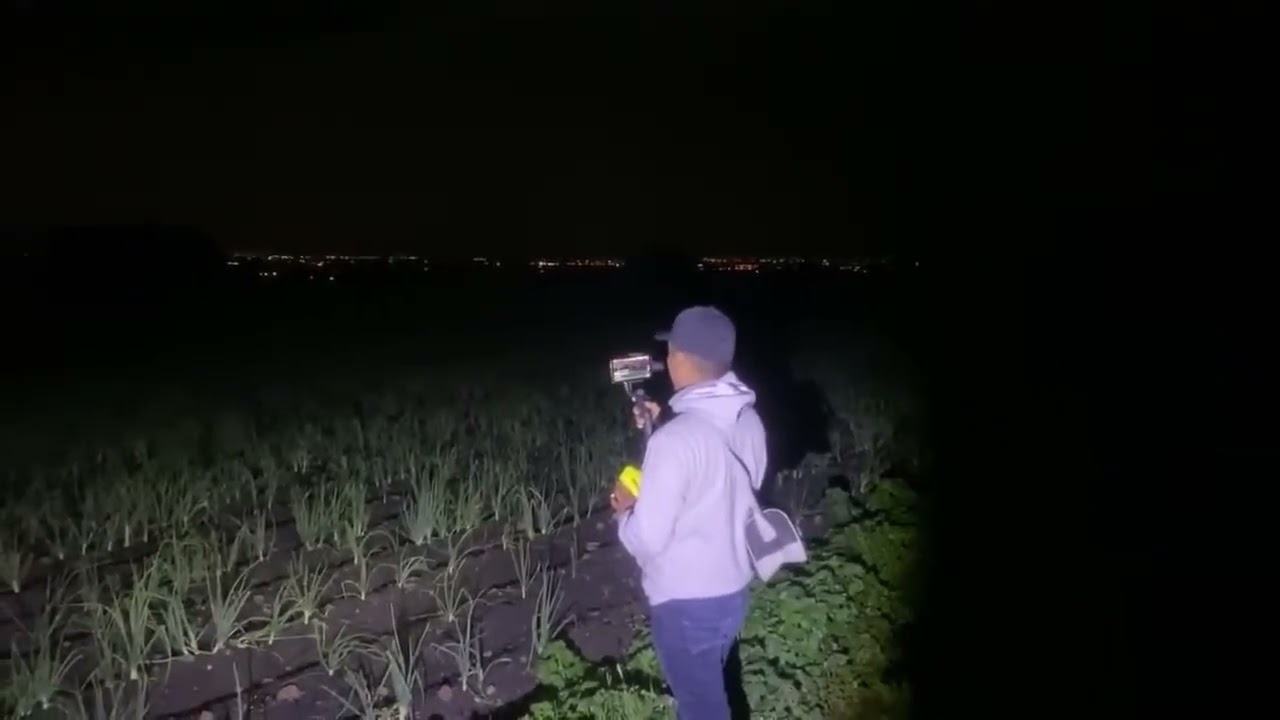 Juntos desde el cuarto de las brujas